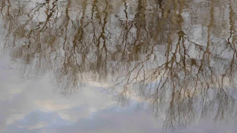 Reflection of the sky and trees in the river 스톡 동영상 111004783