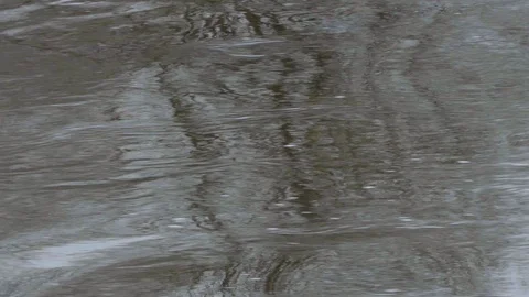 Reflection of the sky and trees in the river Stock Footage 111008297
