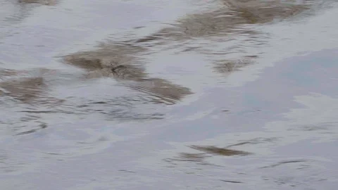 Reflection of the sky and trees in the river Stock-Footage 111008641