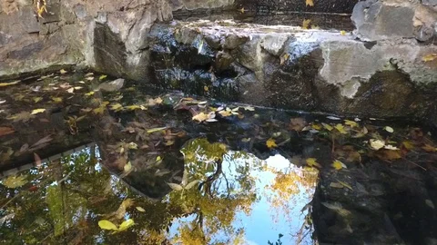 Reflection of the sky and trees in the water. Video stock 96390230
