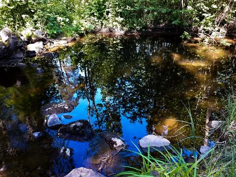Reflection of the sky and trees in the water - Oslo, Sognsvann lake Stock Photos