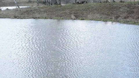 Reflection of the sky in the clear water of the lake with waves from the wind Stock Footage 89155016