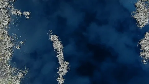 Reflection of sky clouds in the blue water of a forest lake at sunset Stock Footage 128229844