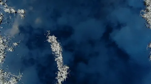 Reflection of sky clouds in the blue water of a forest lake at sunset Video stock 128231632