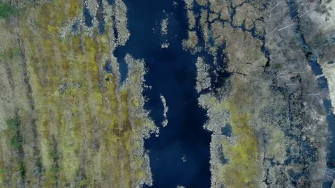 Reflection of sky clouds in the blue water of a forest lake at sunset Stock Footage 128231906