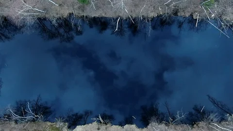 Reflection of sky clouds in the blue water of a forest lake at sunset Video stock 128232041