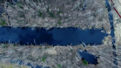 Reflection of sky clouds in the blue water of a forest lake at sunset Stock Footage 128232332