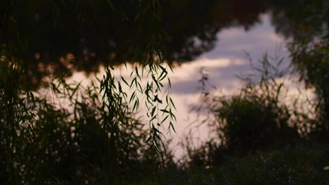 Reflection of the sky in the lake 4K Vidéo 172321182