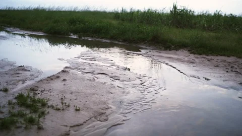 Reflection of the sky over muddy puddles in front of a green field in Myanmar Stock-Footage 95620042