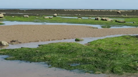 The reflection of sky is seen in water pools Stock Footage 53363934