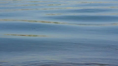 The reflection of the sky in the surface of the water of a fast clear river Stock Footage 282779930