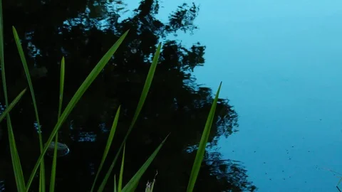 Reflection of the sky on the water. Vídeo Stock 79872245