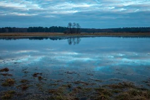 The reflection of the sky in the water on a meadow in eastern Poland Stock Photos