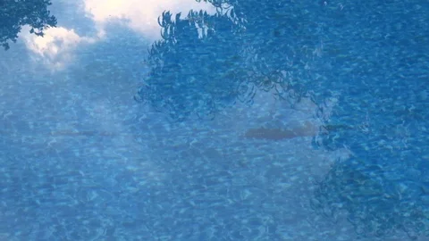 Reflection of the sky in the water. Pool Reflection Stock Footage 125889125