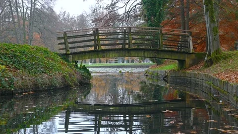 Reflection of small wooden bridge and beautiful lake in Brdo park, Slovenia Stock Footage 142968145