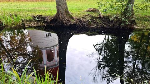Reflection on the smooth surface of the water in the city canal tree trunk an Stock Photos