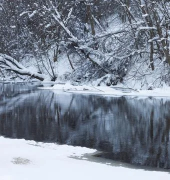 Reflection of Snow-Capped Trees in a Winter Lake Stock Photos
