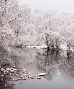 Reflection of Snow-Capped Trees in a Winter Lake Stock Photos