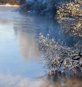 Reflection of Snow-Capped Trees in a Winter Lake Stock Photos