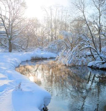 Reflection of Snow-Capped Trees in a Winter Lake Stock Photos
