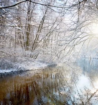 Reflection of Snow-Capped Trees in a Winter Lake Stock Photos