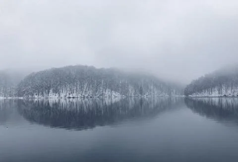 Reflection of snow-covered coniferous forest above the lake in Plitvice, Cr.. Stock Photos