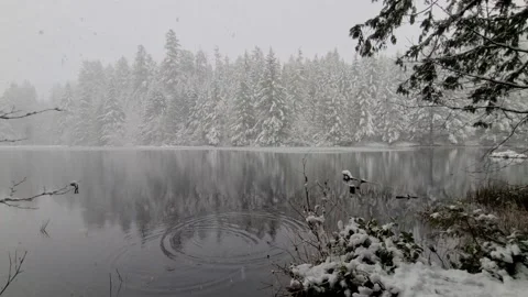 Reflection of a snow covered forest in a still like while it is snowing Video stock 166815144