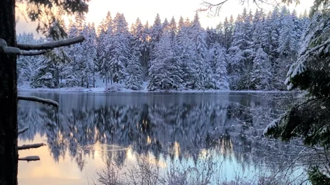 Reflection of snow covered trees on a glass calm lake Video stock 166815089