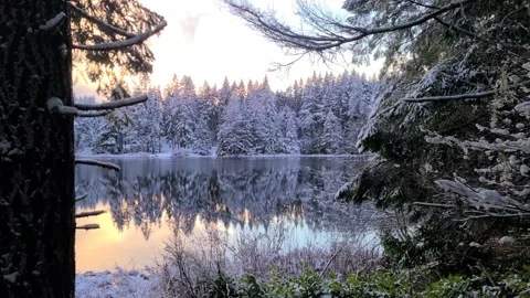 The reflection of snow covered trees on a glass calm lake Video stock 166815146