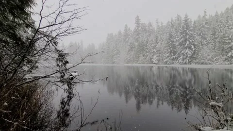 Reflection of snow covered trees in a still lake while it is snowing Video stock 166815148