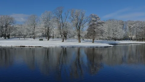 Reflection of snow covered trees in urban park Vídeo Stock 121641204
