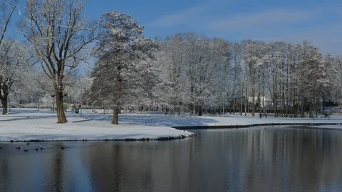 Reflection of snow covered trees in urban park Stock-Footage 121641589