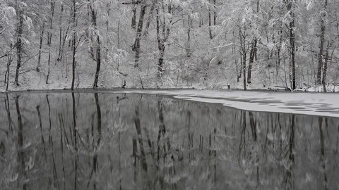 Reflection of snow-covered trees in a winter lake Stock Footage 87550554
