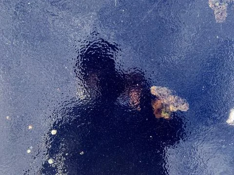 Reflection of somebody Stock Photos