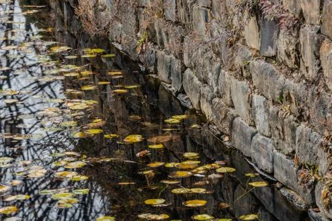 Reflection of stone wall in pond of still water Stock Photos