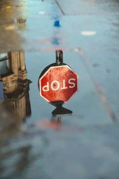 Reflection of the STOP road sign in a puddle Stock Photos