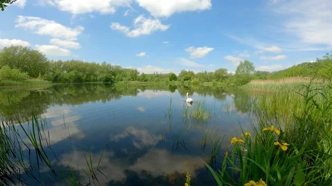 Reflection of the summer blue sky in a lake. Stock Footage 155227550