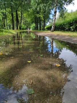 Reflection of a summer park and sky in a large puddle on a dirt alley Stock Photos