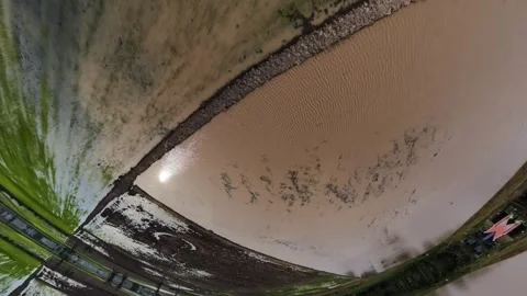 Reflection of sun and cloudy sky on calm water surface with plant edge Видео 345398397