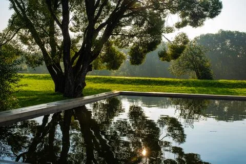 Reflection of the sun and trees in the water of a small pool in the early mor Stock Photos
