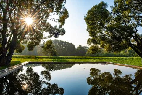 Reflection of the sun and trees in the water of a small pool in the early mor Stock Photos