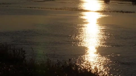 Reflection of the sun at dawn in siberian river Stock Footage 281870332