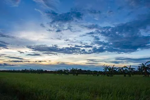 The reflection of the Sun in the evening  and the clouds on the sky with Shad Stock Photos