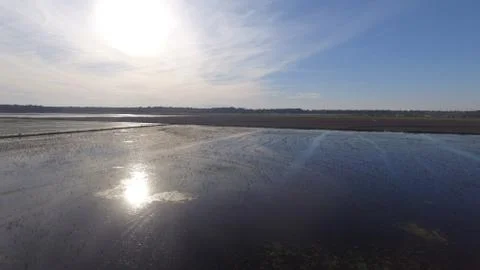 Reflection of the sun on a flooded rice field. Stock Photos