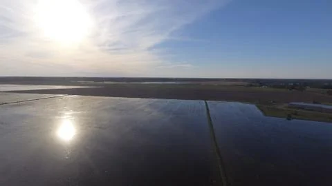 Reflection of the sun on flooded rice fields. Stock Photos