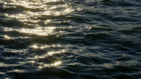 Reflection of the sun on a lake Stock Footage 157138318