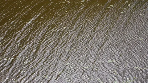 Reflection of the sun on a lake Stock Footage 157138410