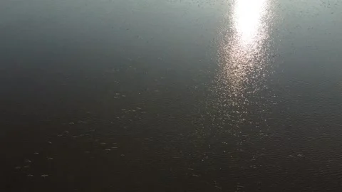 Reflection of the sun on the lake Stock Footage 258485214