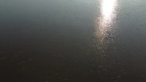 Reflection of the sun on the lake Stock Footage 258485279