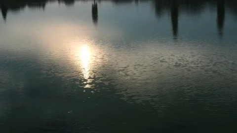 Reflection of the sun on the lake water Stock Footage 264869087